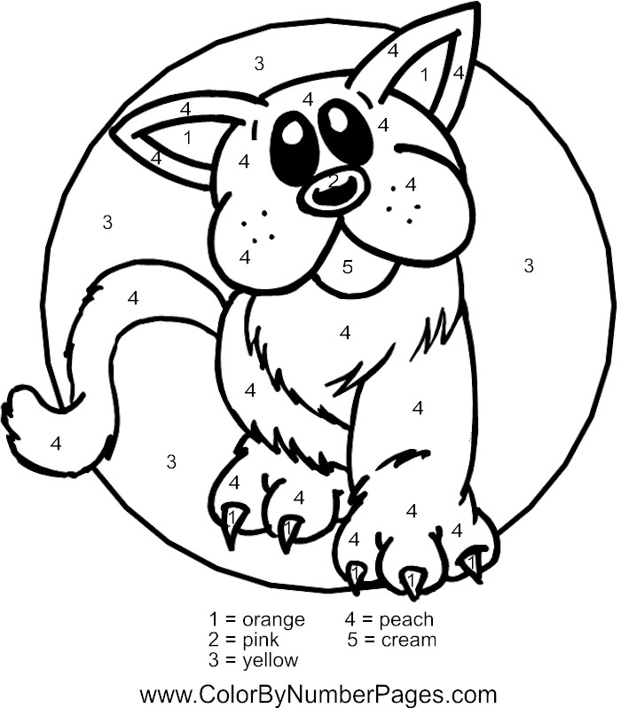 cat color by number page